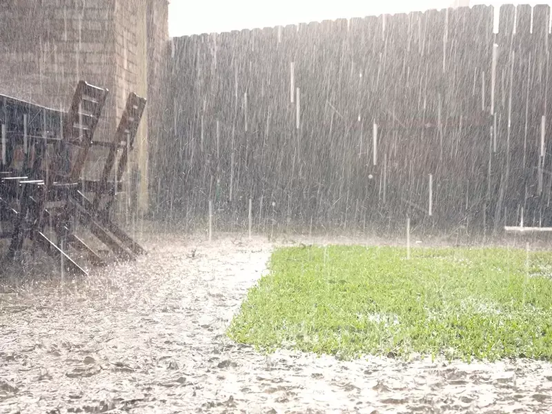Wat te doen tegen wateroverlast in je tuin? Wat te doen tegen wateroverlast in je tuin?