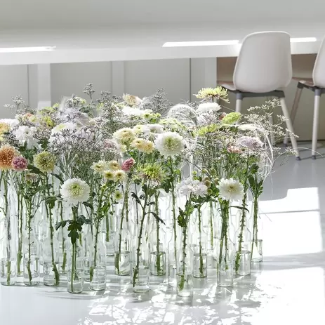 Chrysant | Eyecatcher in huis