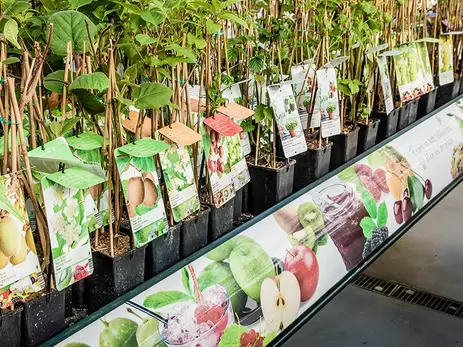 De moestuin; zaaien en oogsten in juli!