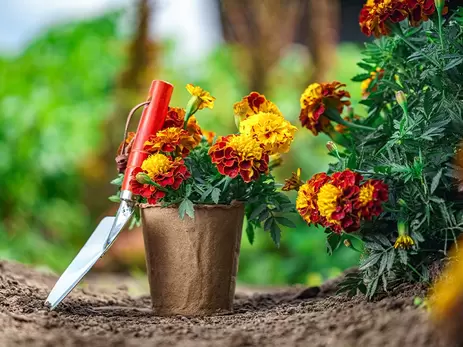 Een onderhoudsvriendelijke tuin zonder teveel tegels? Dat doe je zo!