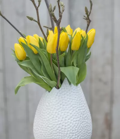 Hoe houd ik mijn tulpen mooi? 5x tips!