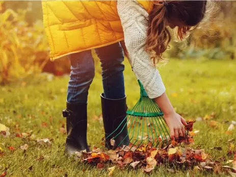 In de herfst de tuin in? Jazeker!