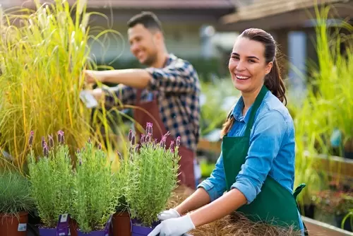 Juni: vakantie in eigen tuin