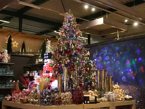 Kies de perfecte echte kerstboom met deze tips