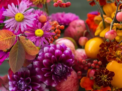 Kleur in de najaarstuin: onze top 5 herfstplanten