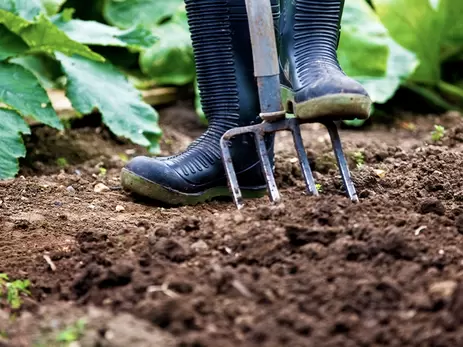 Maak die moestuin maar klaar!