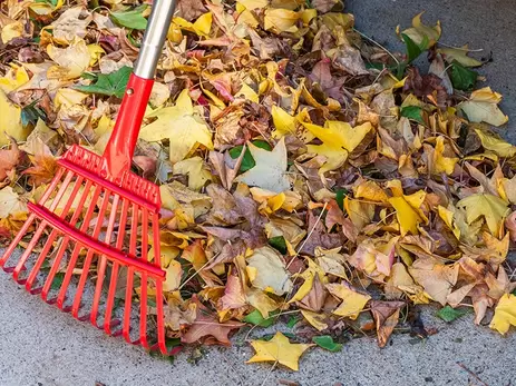 Maak een composthoop van je afgevallen bladeren