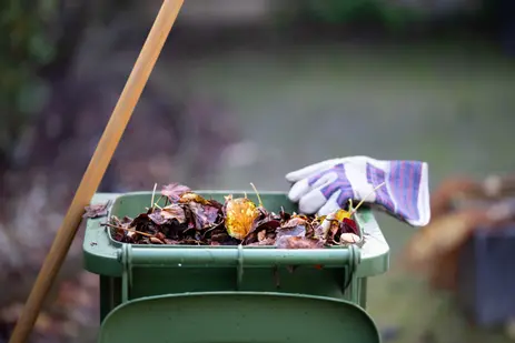 Maak je tuin winterklaar!