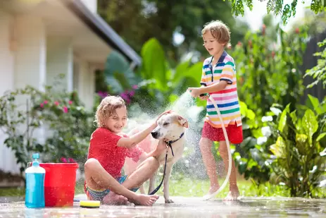 Met deze 5 tips help je je huisdier de zomer door!