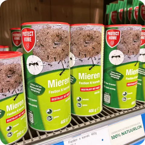 Mieren en slakken bestrijden? Zo houd je de tuin op een natuurlijke manier gezond
