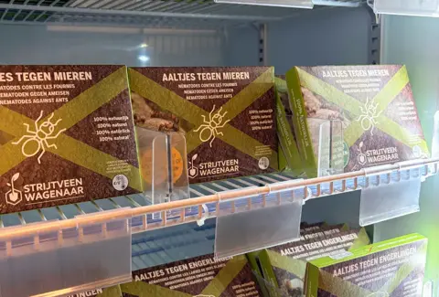 Nieuw: aaltjes! De kleinste helden van je tuin