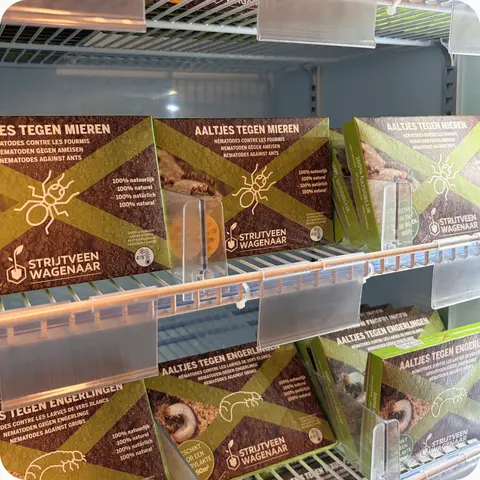 Nieuw: aaltjes! De kleinste helden van je tuin