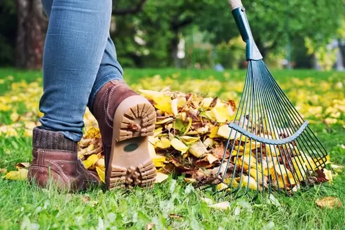 Oktober: wat te doen in de tuin?