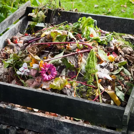 Op naar een duurzame tuin: compost