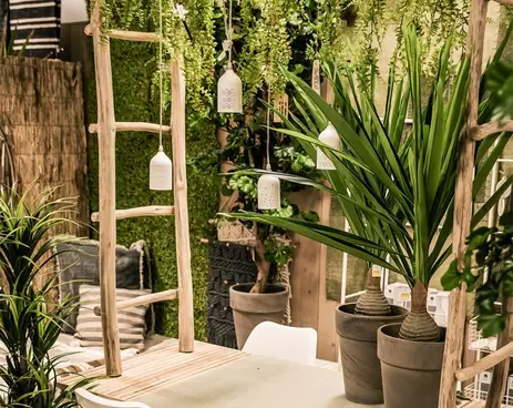 Top 5 grote kamerplanten voor een Urban Jungle