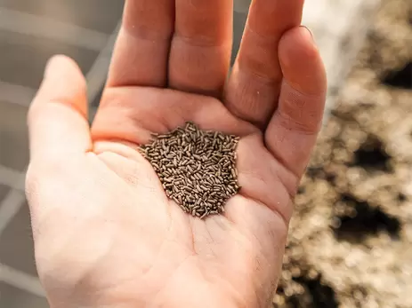 Voor ieder gazon het juiste graszaad