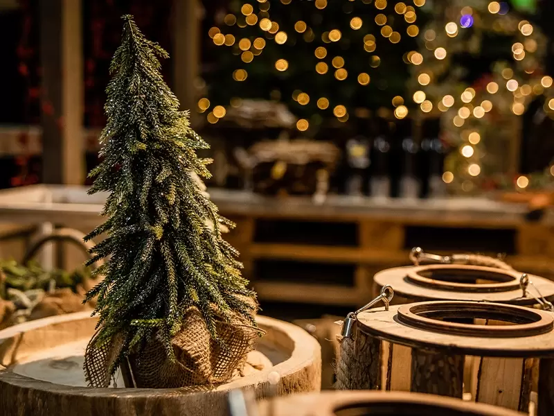 Wanneer mag ik de kerstboom opzetten? - Tuincentrum Eurofleur