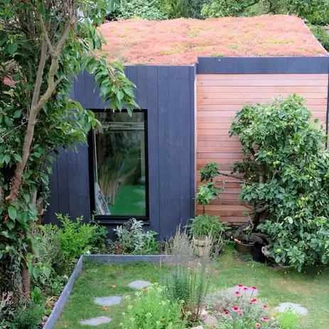Welke planten zijn geschikt voor een groen dak?