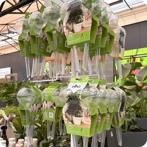 Zo houd je jouw kamerplanten stralend gezond tijdens de zomer