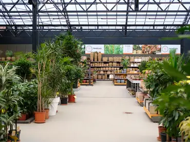 Kamerplanten shop je bij tuincentrum Eurofleur in Leusden!