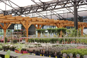 Onze tuinplanten
