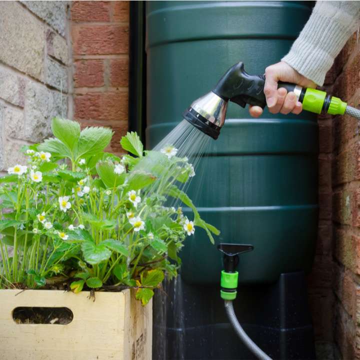 Planten in zomer verzorgen | Tuincentrum Eurofleur