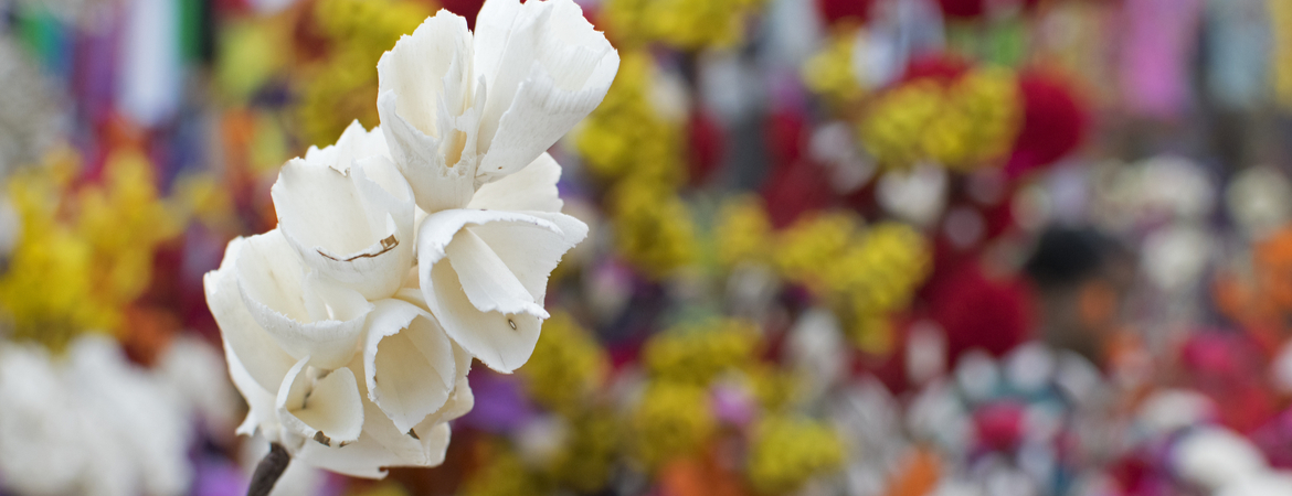 3 voordelen van kunstbloemen | Tuincentrum Eurofleur