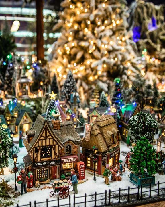 Kerstdecoratie shoppen, online of in de winkel | Tuincentrum Eurofleur