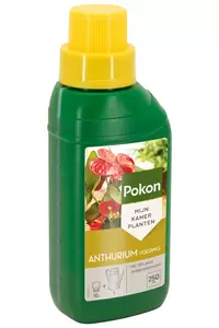 Pokon Anthurium voeding 250 ml