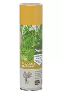 Pokon Bladglans 250 ml