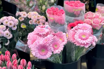 Bloemen