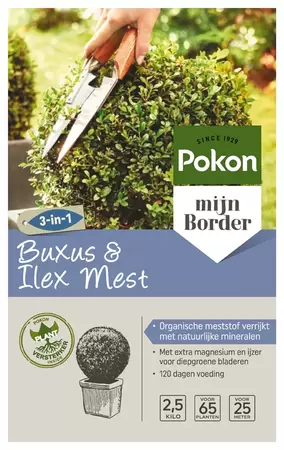 Pokon Buxus & Ilex mest 2.5 kg