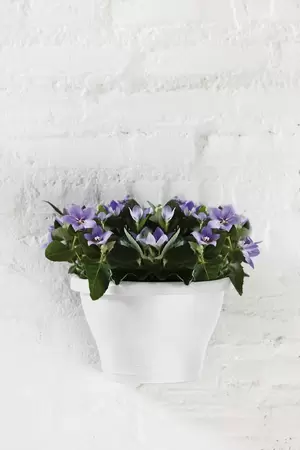 elho corsica wandbak 25 cm wit