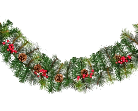 Everlands guirlande met bessen/dennenappels Ipswich frosted - 270cm - afbeelding 1