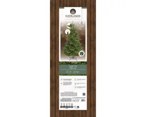 Everlands kunstkerstboom Alba fir LED 1700 lampjes - 180cm - afbeelding 6