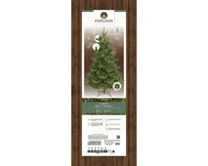 Everlands kunstkerstboom Alba fir LED 3100 lampjes - 240cm - afbeelding 2