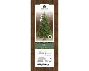 Everlands kunstkerstboom Alba fir LED 3100 lampjes - 240cm - afbeelding 6