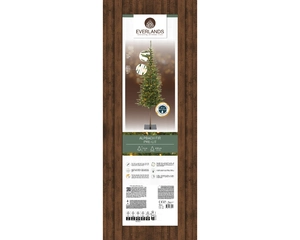 Everlands kunstkerstboom Alpbach fir micro LED 300 lampjes - 240cm - afbeelding 7