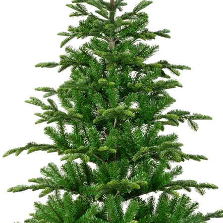 Everlands kunstkerstboom Balsamea fir - 210cm - afbeelding 2