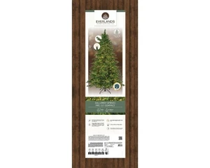 Everlands kunstkerstboom Galloway spruce LED 3000 lampjes - 180cm - afbeelding 2