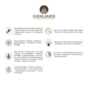 Everlands kunstkerstboom Grandis fir snowy micro LED 700 lampjes - 240cm - afbeelding 8