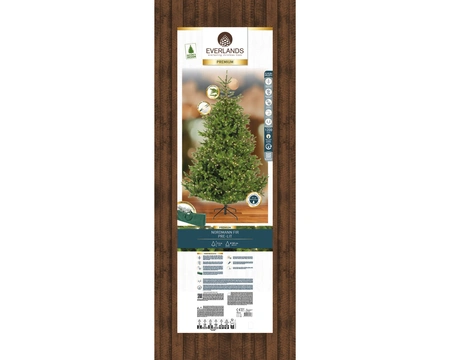 Everlands kunstkerstboom Nordmann fir micro LED 1200 lampjes - 240cm - afbeelding 2