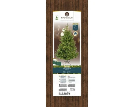 Everlands kunstkerstboom Nordmann fir micro LED 1200 lampjes - 240cm - afbeelding 2