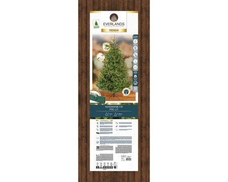 Everlands kunstkerstboom Nordmann fir micro LED 600 lampjes - 180cm - afbeelding 2