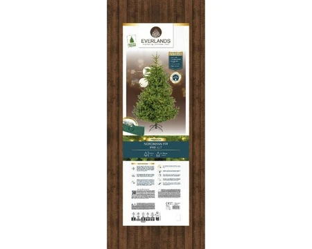Everlands kunstkerstboom Nordmann fir micro LED 600 lampjes - 180cm - afbeelding 2