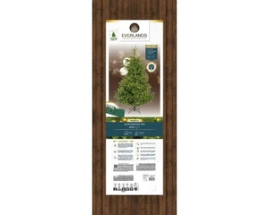 Everlands kunstkerstboom Nordmann fir micro LED 600 lampjes - 180cm - afbeelding 2
