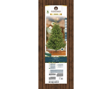 Everlands kunstkerstboom Nordmann fir micro LED 900 lampjes - 210cm - afbeelding 2