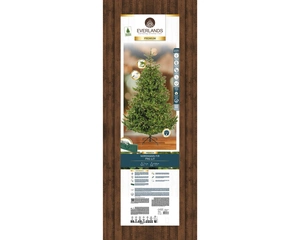 Everlands kunstkerstboom Nordmann fir micro LED 900 lampjes - 210cm - afbeelding 2