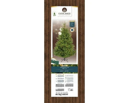 Everlands kunstkerstboom Nordmann fir micro LED 900 lampjes - 210cm - afbeelding 2