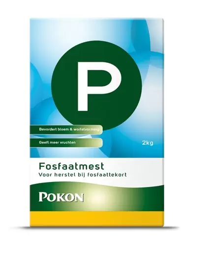 Pokon Fosfaatmeststof 2 kg